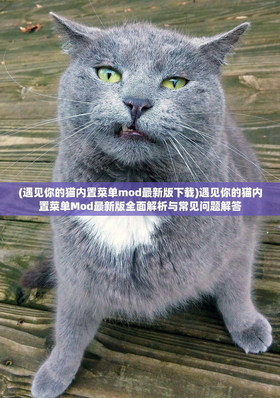 (遇见你的猫内置菜单mod最新版下载)遇见你的猫内置菜单Mod最新版全面解析与常见问题解答