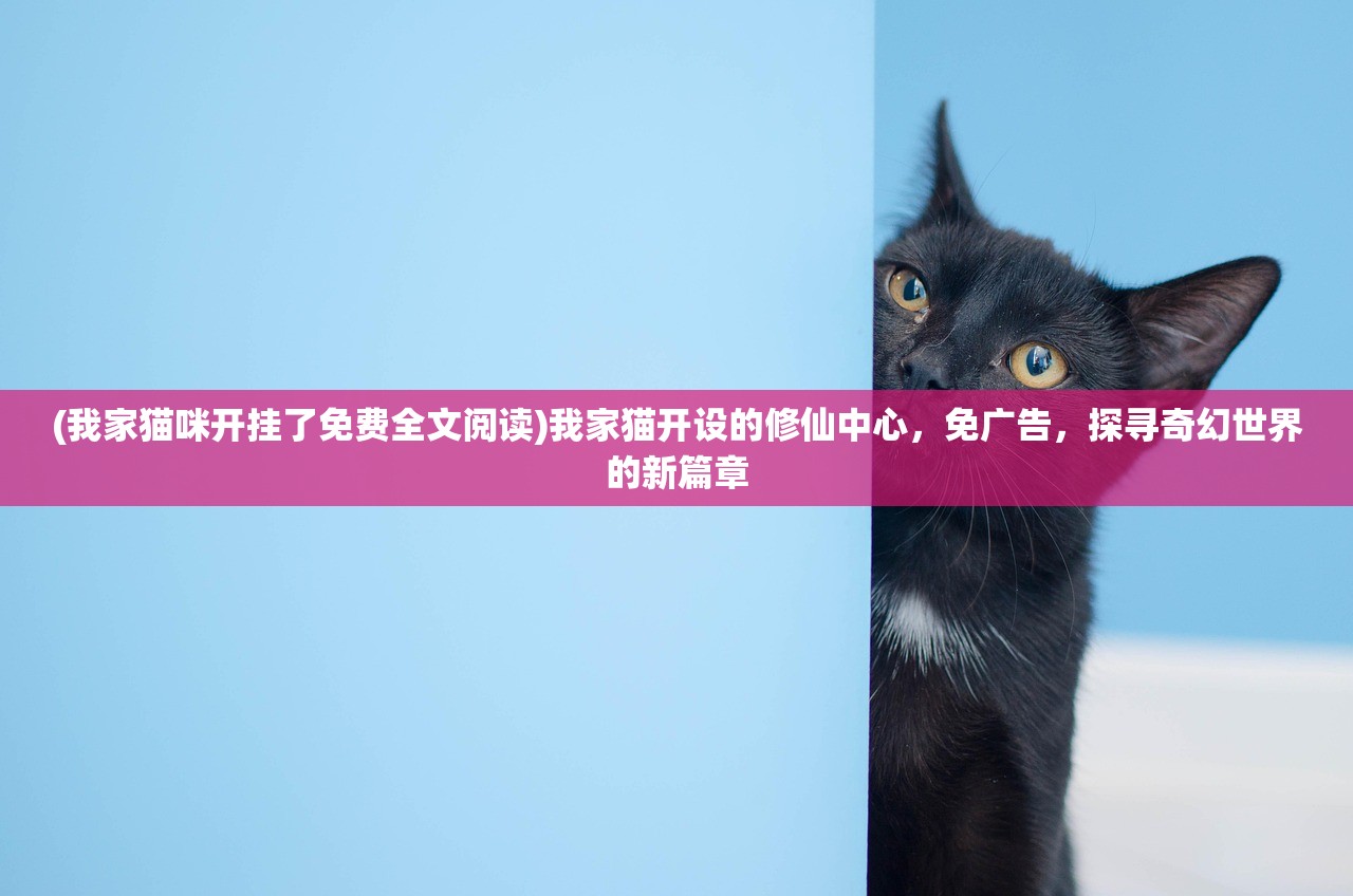 (我家猫咪开挂了免费全文阅读)我家猫开设的修仙中心，免广告，探寻奇幻世界的新篇章