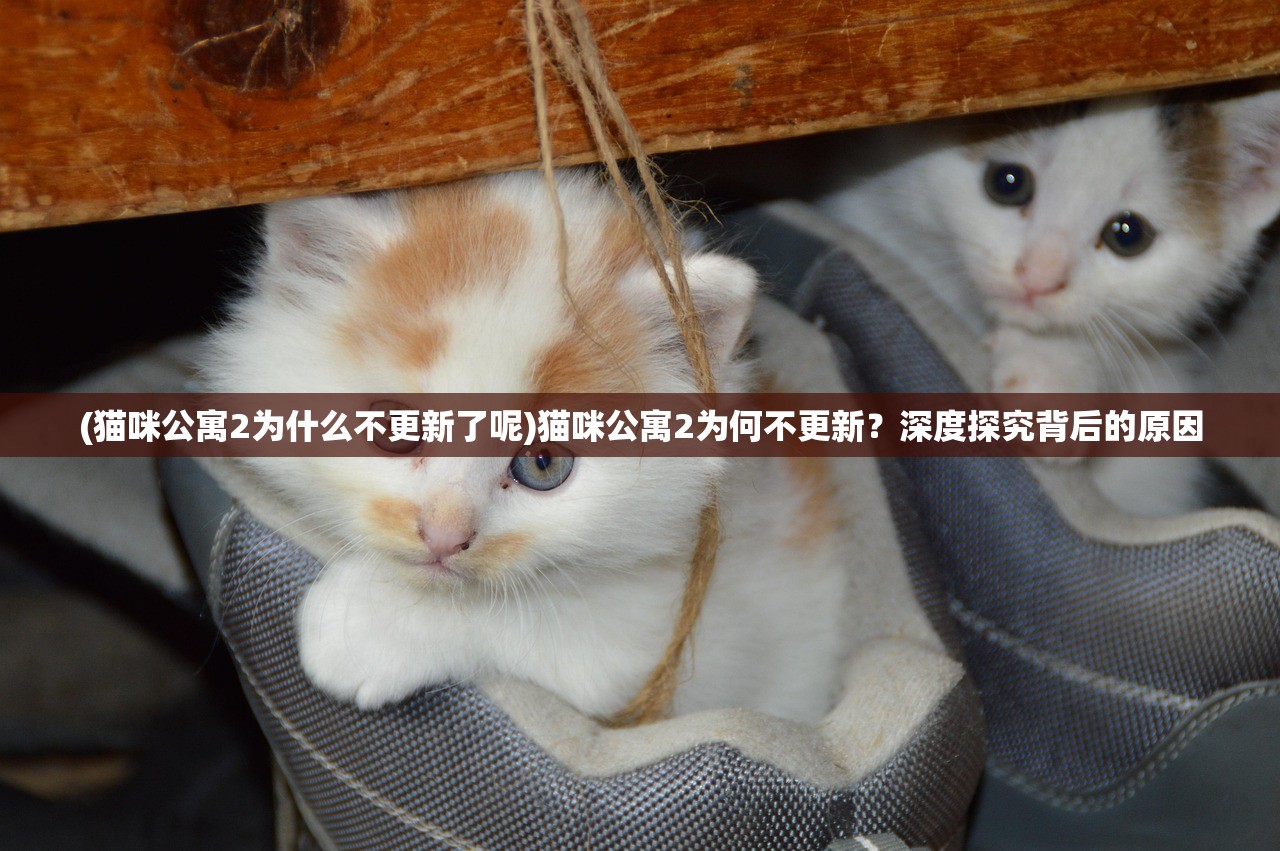 (猫咪公寓2为什么不更新了呢)猫咪公寓2为何不更新？深度探究背后的原因