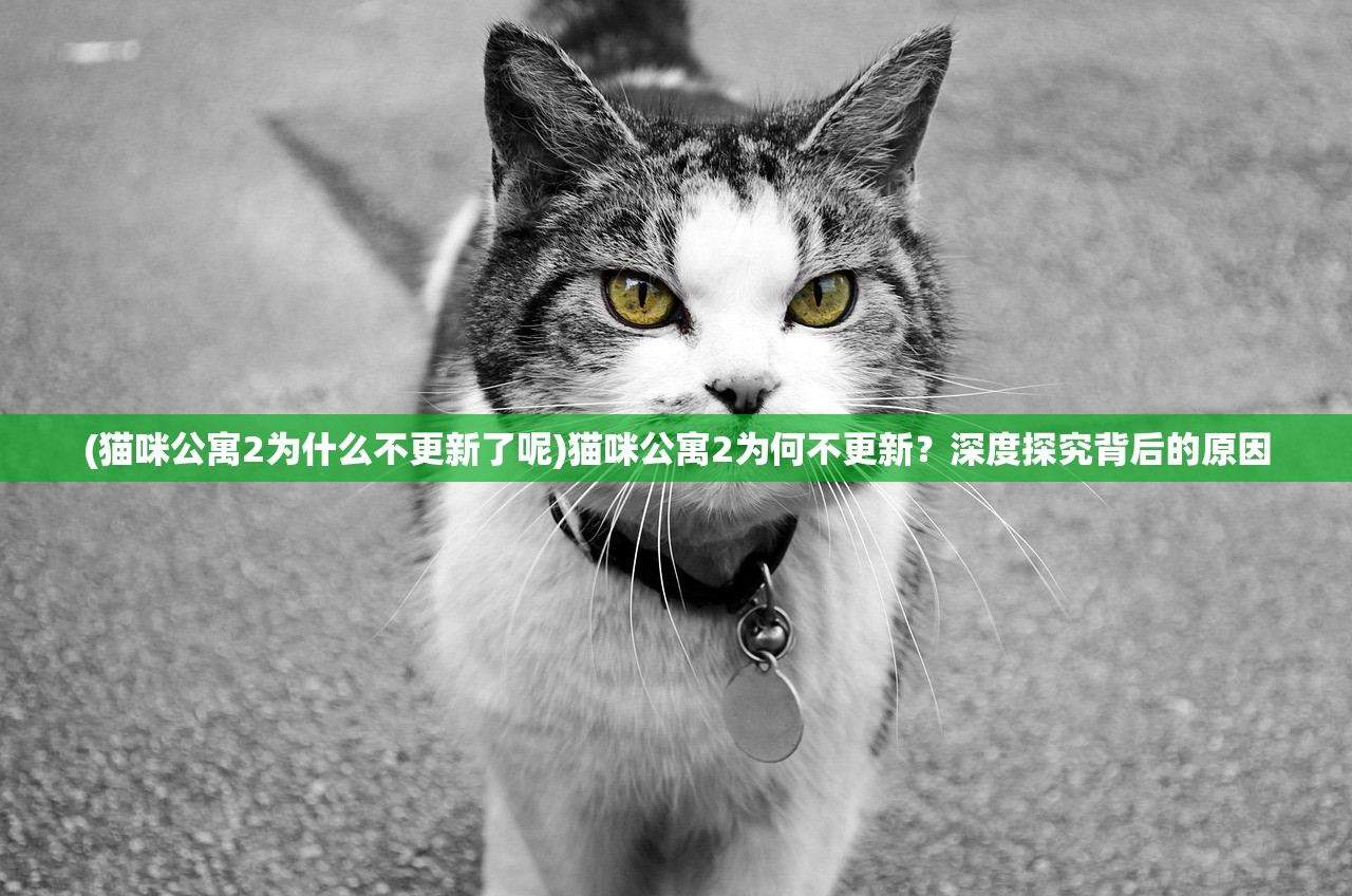 (猫咪公寓2为什么不更新了呢)猫咪公寓2为何不更新？深度探究背后的原因