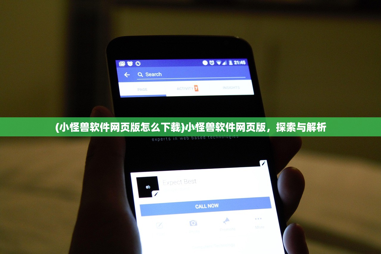 (小怪兽软件网页版怎么下载)小怪兽软件网页版，探索与解析