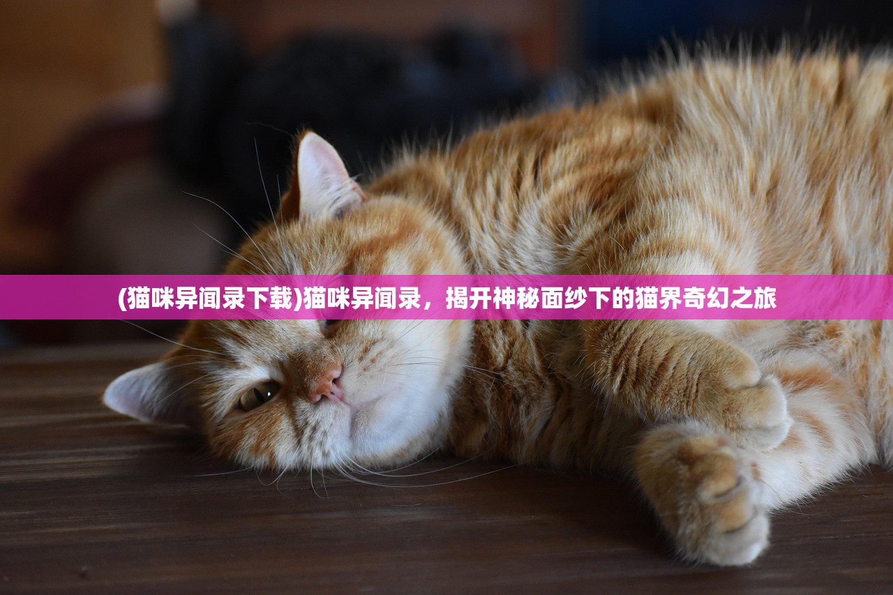 (猫咪异闻录下载)猫咪异闻录，揭开神秘面纱下的猫界奇幻之旅