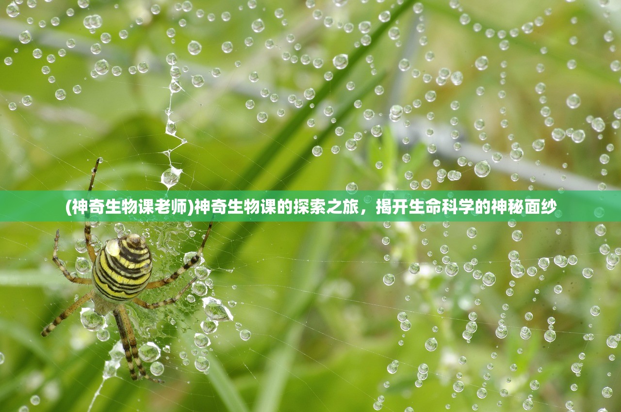 (神奇生物课老师)神奇生物课的探索之旅，揭开生命科学的神秘面纱