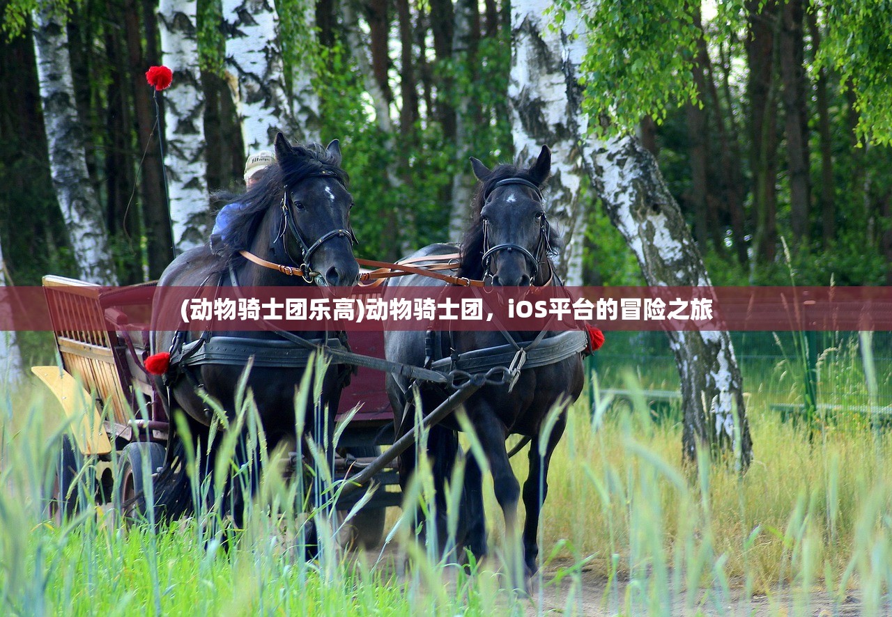 (动物骑士团乐高)动物骑士团，iOS平台的冒险之旅