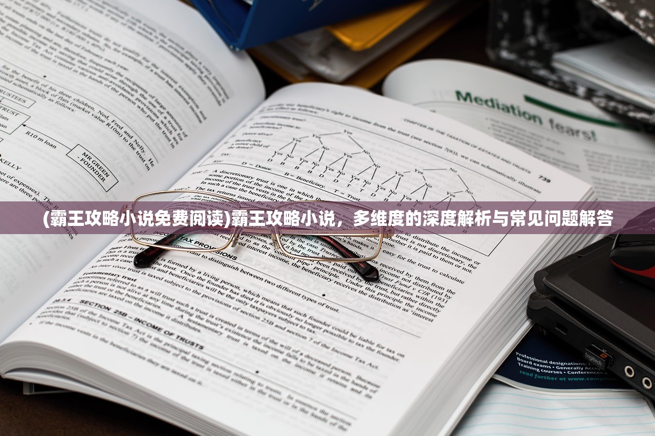 (霸王攻略小说免费阅读)霸王攻略小说，多维度的深度解析与常见问题解答